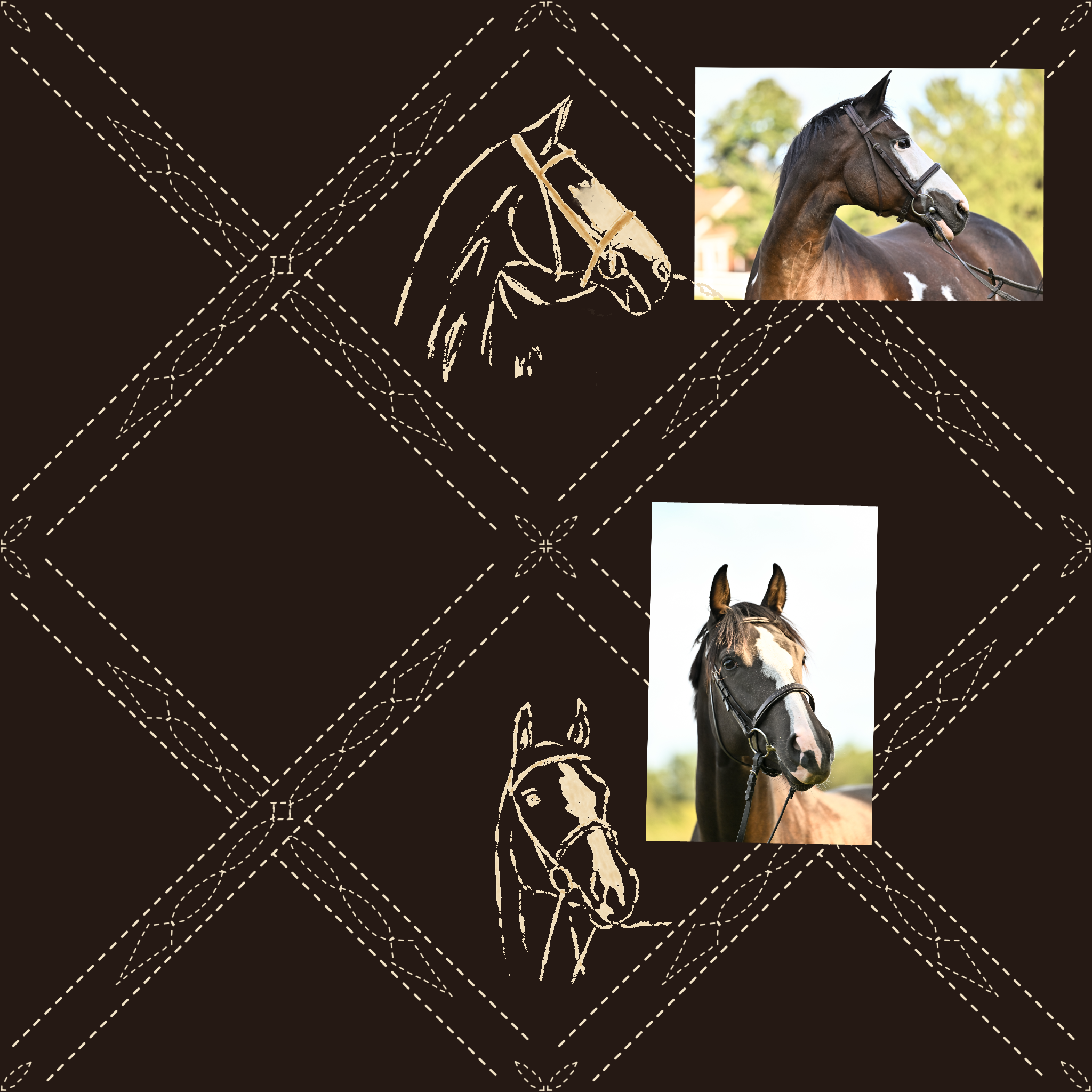 Bridle Stitching | Horse Pattern